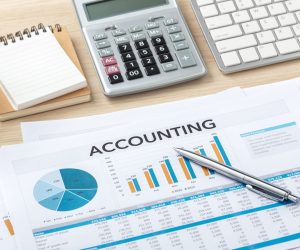 Accounting documents with charts, a pen, calculator, notepad, plant, and keyboard on a wooden desk.